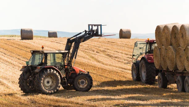 haymaking